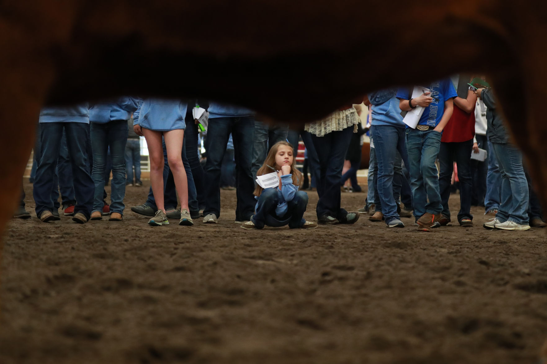061819_RedAngusJudging09_bjs.JPG